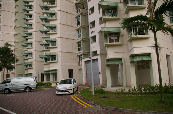 Blk 394 Bukit Batok West Avenue 5 (Bukit Batok), HDB 5 Rooms #333652